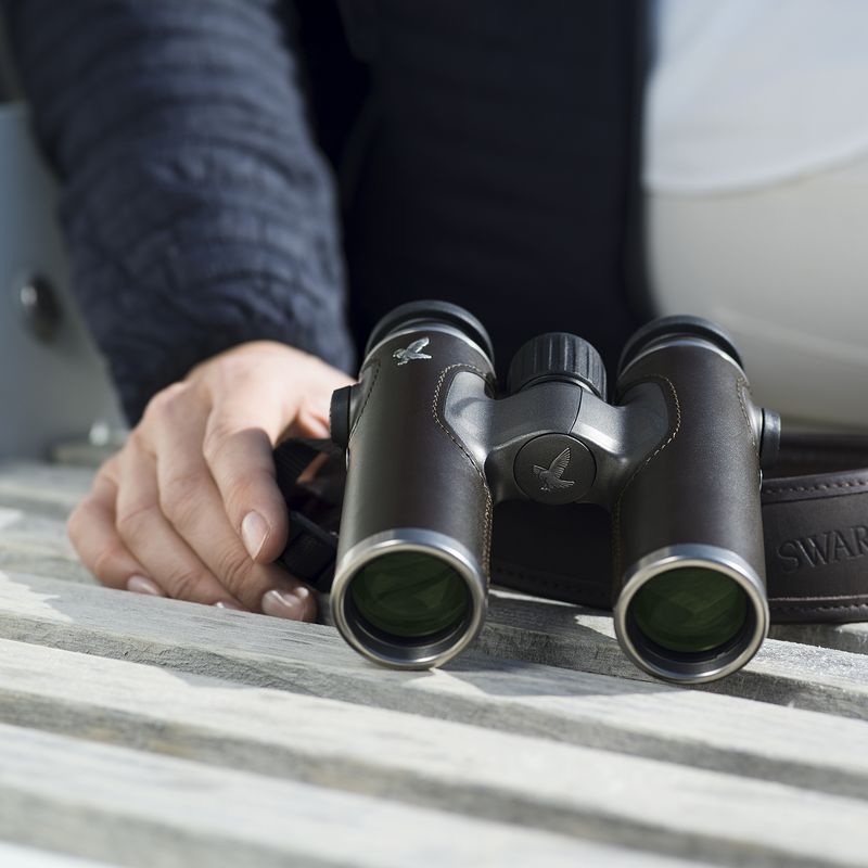 Swarovski CL Companion 8x30 B Nomad